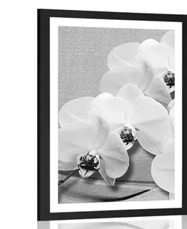 Černobílé Plakát s paspartou orchidej na plátně v černobílém provedení