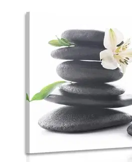 Obrazy Feng Shui Obraz Zen kameny s lilií