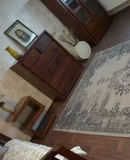 Koberce a koberečky Dywany Lusczow Kusový koberec VINTAGE 22206/085, velikost 200x290