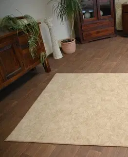 Koberce a koberečky Dywany Lusczow Kusový koberec SERENADE Hagy béžový, velikost 300x300