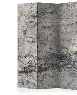 Paravány Paraván Grey Lady Dekorhome 135x172 cm (3-dílný)