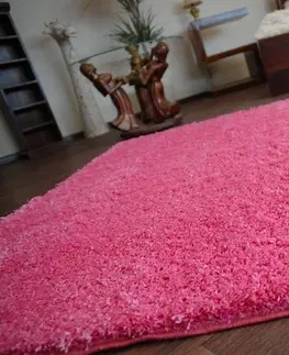 Koberce a koberečky Dywany Lusczow Kusový koberec SHAGGY Izebelie 5cm růžový, velikost 100x150