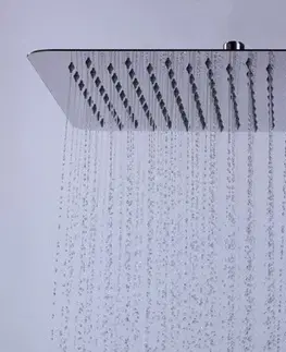 Sprchy a sprchové panely HOPA Hlavová sprcha ETNA PLUS Rozměr hlavové sprchy  500 × 300 mm BAPG8268