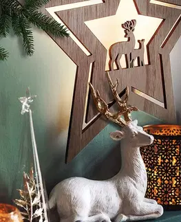 Vánoční dekorace Solight LED nástěnná dekorace vánoční hvězda, 24x LED, 2x AA