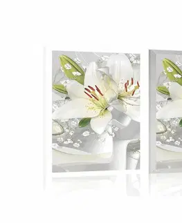 Květiny Plakát bílá lilie na zajímavém pozadí