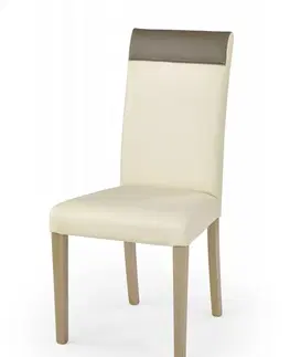 Židle Jídelní židle NORBERT Halmar Krémová