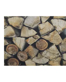 Rohožky Rohožka  s motivem dřeva Fireplace wood  - 75*50*1cm Mars & More RARMOH
