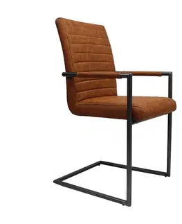 Křesla Koňaková židle/křeslo Industrial - 48*97 cm Collectione 8719274617235