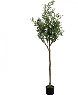 Umělé rostliny KARE Design Dekorativní rostlina Olive Tree 150cm