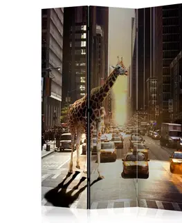 Paravány Paraván Giraffe in the Big City Dekorhome 135x172 cm (3-dílný)