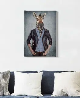 Obrazy Wallity Obraz na plátně Zebra portrait 50x70 cm