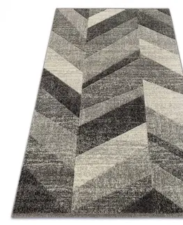 Koberce a koberečky Dywany Lusczow Kusový koberec FEEL Fish šedý, velikost 120x170