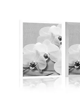 Černobílé Plakát orchidej na plátně v černobílém provedení