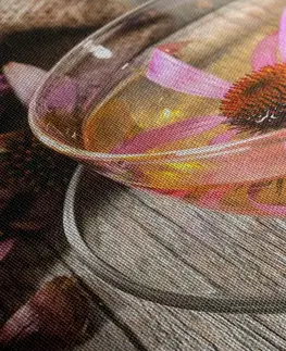 Obrazy jídla a nápoje Obraz šálek bylinného čaje