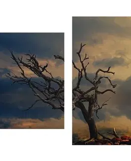 Obrazy přírody a krajiny 5-dílný obraz vyschlý strom