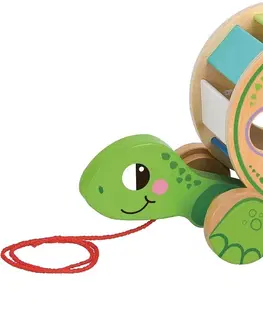 Dřevěné hračky Dvěděti  Tahací edukativní želva Turtle