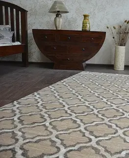 Koberce a koberečky Dywany Lusczow Kusový koberec ARGENT - W4030 trellis béžový, velikost 160x220