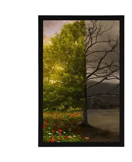 Příroda Plakát dvě podoby stromu