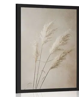 Botanické Plakát suchá pampová tráva