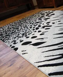 Koberce a koberečky Dywany Lusczow Kusový koberec BCF FLASH 33282/155, velikost 120x170