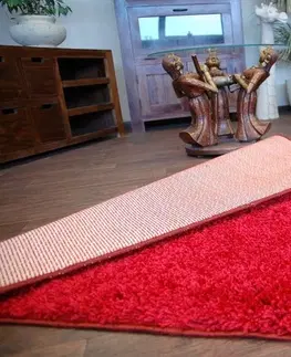 Koberce a koberečky Dywany Lusczow Kusový koberec SHAGGY Izebelie 5cm bordó, velikost 100x200