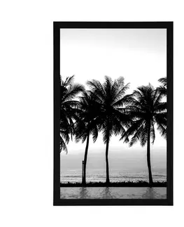Černobílé Plakát západ slunce nad palmami v černobílém provedení