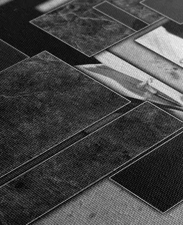 Černobílé obrazy Obraz květinová abstrakce v černobílém provedení