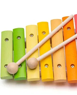 Hudební nástroje pro děti Bigjigs Toys Dřevěný xylofon FRANKO vícebarevný