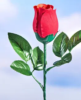 Květinové dekorace Mluvící narozeninová růže