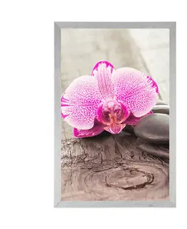 Květiny Plakát s paspartou orchidej a Zen kameny na dřevěném podkladu