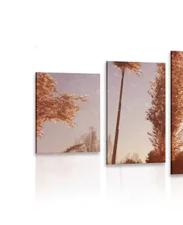 Obrazy pole a louky 5-dílný obraz atmosféra podzimu