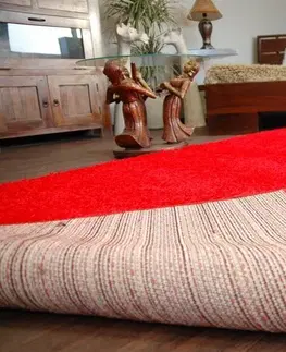 Koberce a koberečky Dywany Lusczow Kusový koberec SHAGGY Izebelie 5cm červený, velikost 100x200