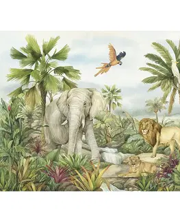 Tapety Dětská fototapeta Colourful Jungle 252 x 182 cm, 4 díly