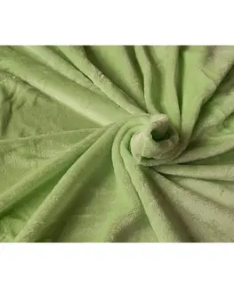 Prostěradla Jahu Prostěradlo Mikroplyš zelená, 180 x 200 cm
