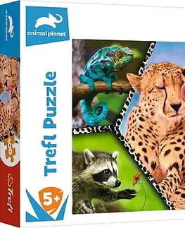 Hračky puzzle TREFL - Puzzle 100 - Krása přírody / Discovery Animal Planet