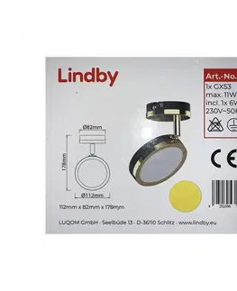 Svítidla Lindby Lindby - LED Bodové svítidlo 1xG53/6W/230V 
