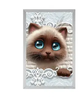 Zvířátka Plakát roztomilé kotě