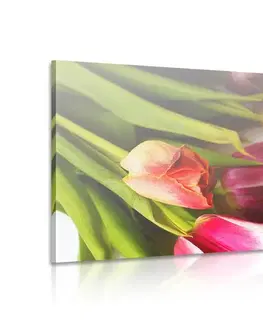 Obrazy květů Obraz kytice barevných tulipánů