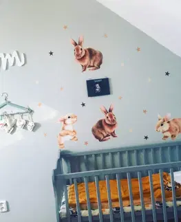 Samolepky na zeď Dětské samolepky na zeď - Zajíčci s hvězdičkami