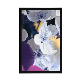 Květiny Plakát kvetoucí větvička třešně