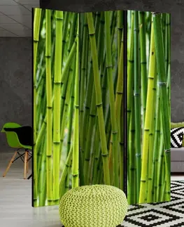 Paravány Paraván Bamboo Forest Dekorhome 225x172 cm (5-dílný)