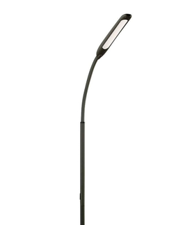 Stojací lampy Podlahová lampa s dálkovým ovládáním LP-YORK10W-10-DEC černá