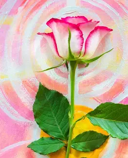 Tapety květiny Fototapeta růže na malířském plátně