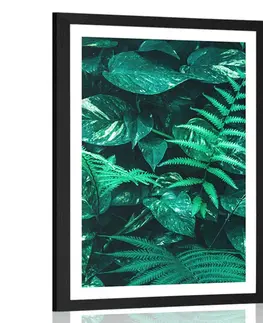 Příroda Plakát s paspartou svěží tropické listy