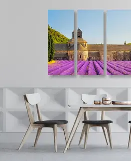 Obrazy květů 5-dílný obraz Provence s levandulovými poli