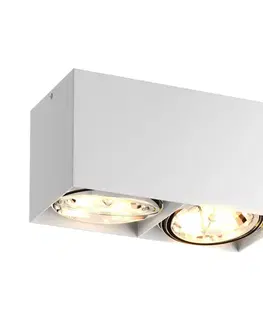 Moderní stropní svítidla ZUMALINE Bodové svítidlo BOX SL 2 89949