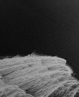 Černobílé obrazy Obraz černobílé andělská křídla