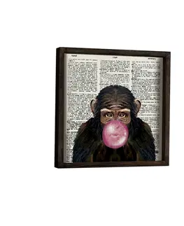 Obrazy Wallity Nástěnný obraz Monkey 34x34 cm II