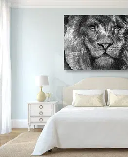 Černobílé obrazy Obraz tvář lva v černobílém provedení