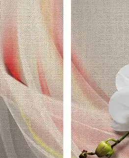 Obrazy květů 5-dílný obraz bílá orchidej na plátně